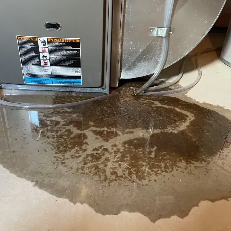 Appliance Leak Cleanup in Linden, TX